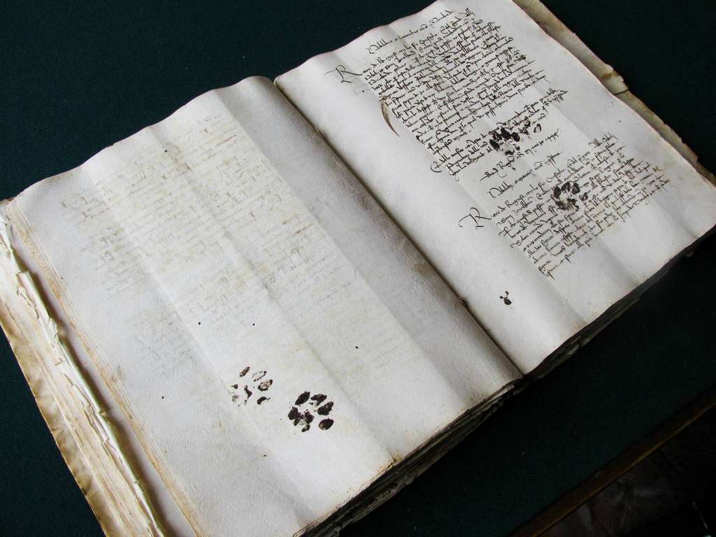 Inky cat paw prints across the pages of a 15th Century handwritten book