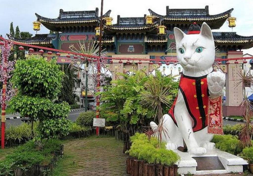 Kuching Cat City | Shop for Cat Lovers | Thrilled Kitty