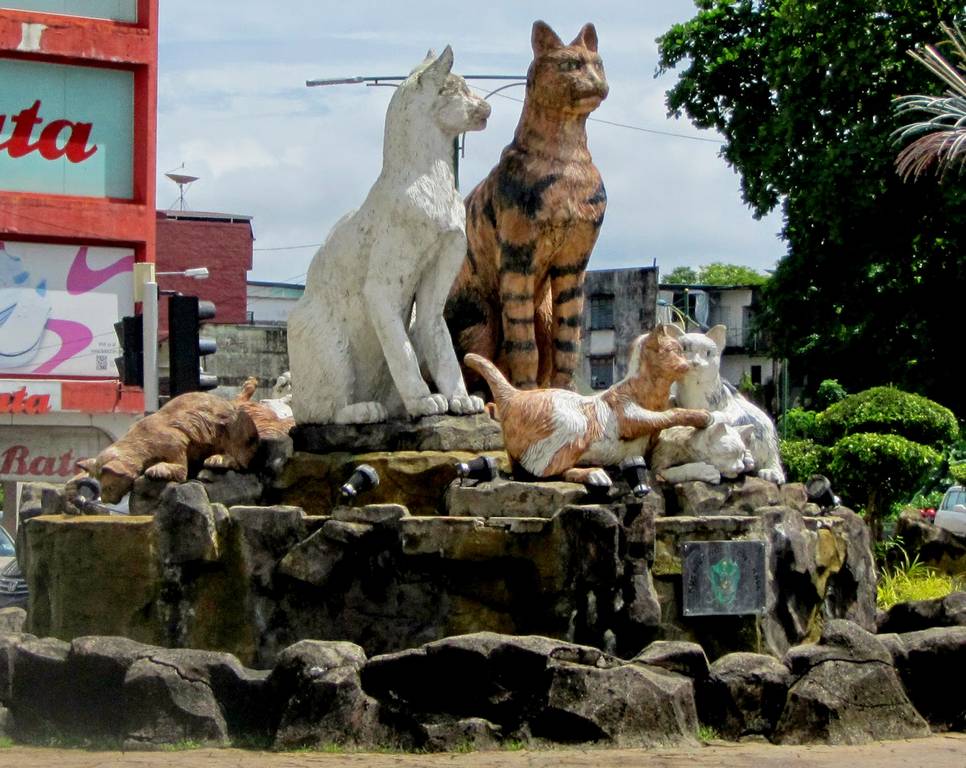 Kuching Cat City | Shop for Cat Lovers | Thrilled Kitty