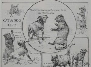 ‘A Cat & Dog Life’ | Comic Illustration | 1904