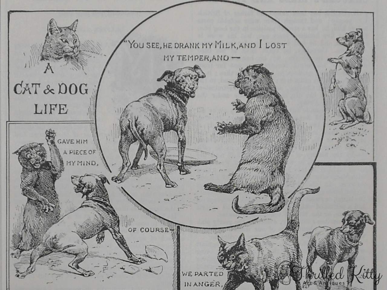 'A Cat & Dog Life' | Comic Illustration | 1904