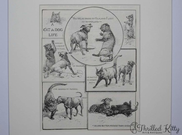 A Cat & Dog Life-Comic Illustration-1904-4