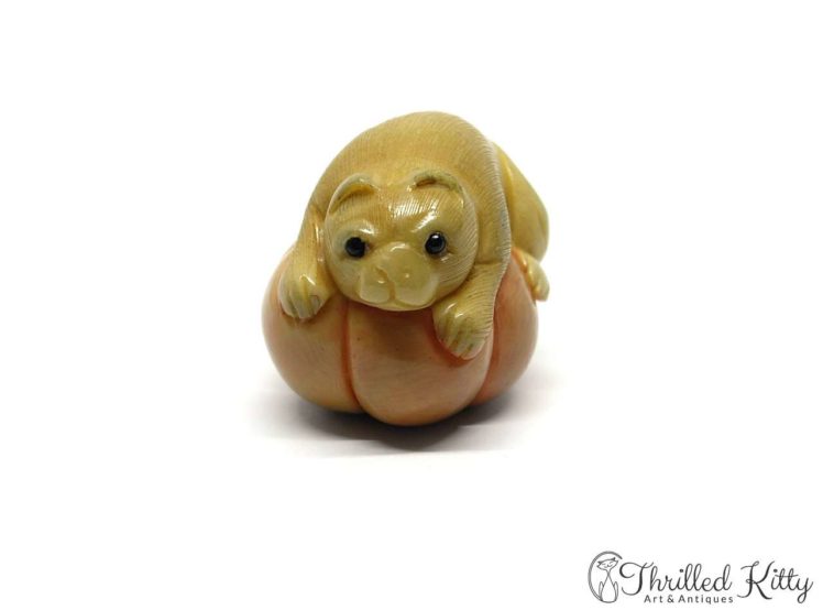 Carved Tagua Nut Katabori Netsuke-Cat on a Pumpkin-6