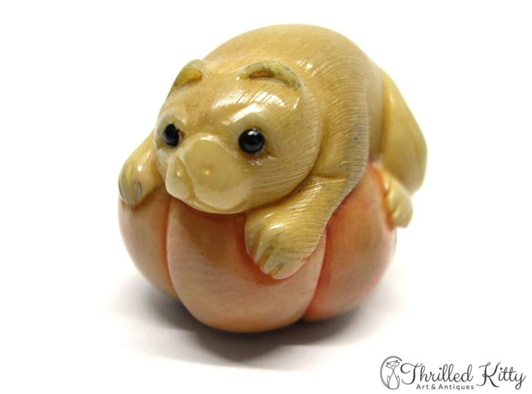 Carved Tagua Nut Katabori Netsuke-Cat on a Pumpkin-7