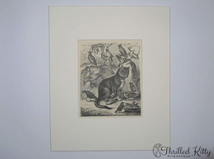 Die Vogelkatze by Carl Gerber-Engraving-1885-2