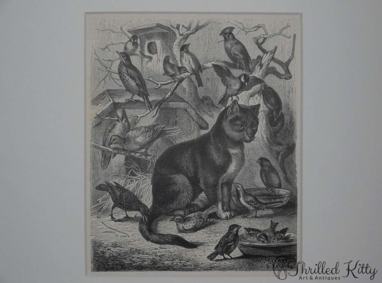 Die Vogelkatze by Carl Gerber-Engraving-1885-4