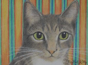 ‘Simon Kitty Cat’ by Helen V James | Pencil