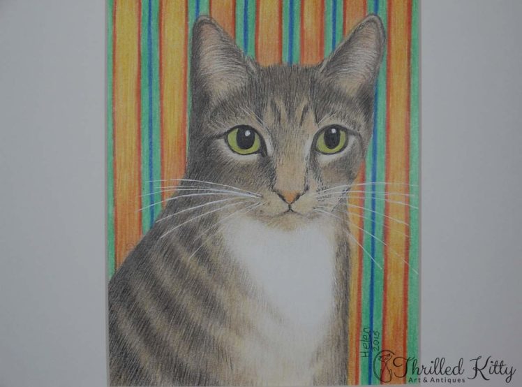 Simon Kitty Cat by Helen V James-Pencil-4