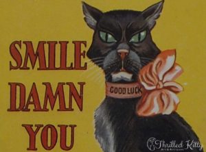 ‘Smile, Damn You, Smile’ by Bob Wilkin | Postcard | 1930s