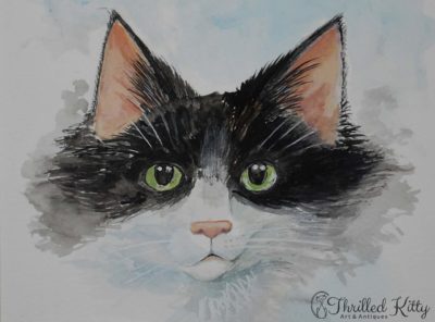 ‘The Cat Next Door’ by Paul Selvey | Watercolour