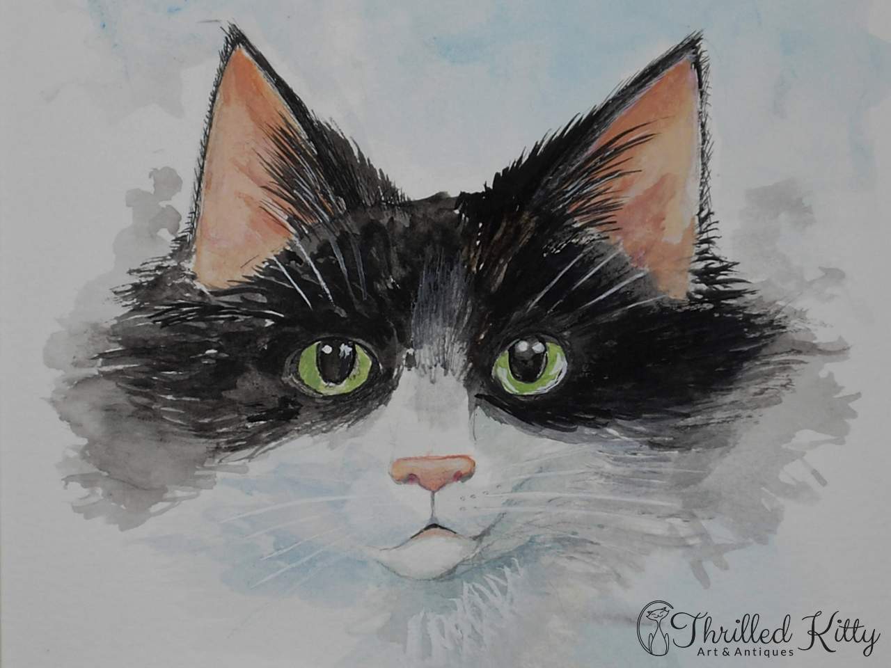 'The Cat Next Door' by Paul Selvey | Watercolour