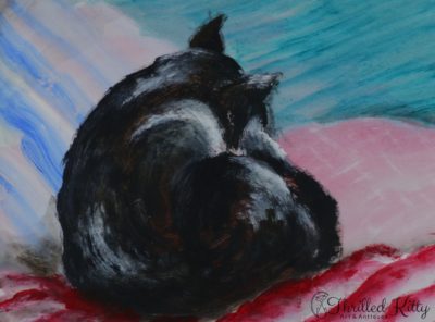 ‘Comfy Cat’ by Blu | Acrylic on board