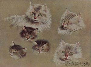 ‘Some Pussies’ Heads’ by Fannie Moody | Illustration | 1908