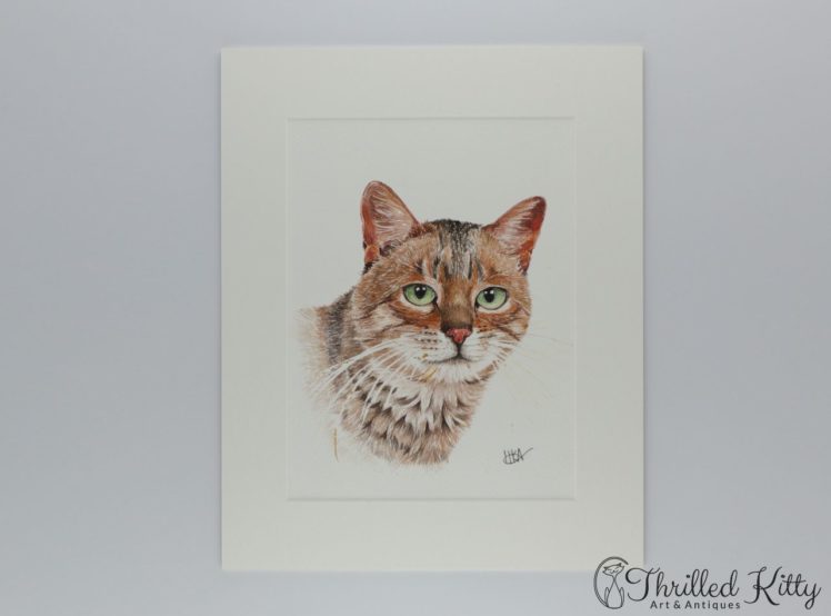 Tabby-by-Hazel-K-Adlam-Watercolour-1