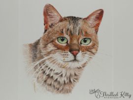 'Tabby' by Hazel K Adlam | Watercolour