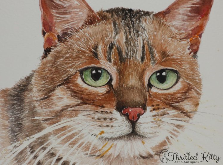 Tabby-by-Hazel-K-Adlam-Watercolour-3