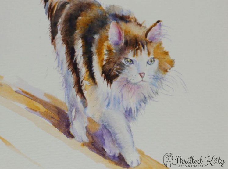 The-Calico-Cat-That-Walked-by-Himself-by-Debra-J-Hall-5