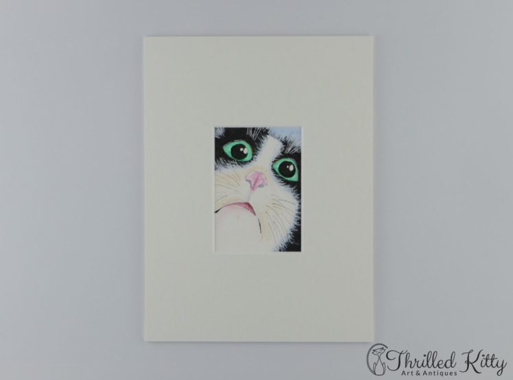 cat-face-close-aceo-1