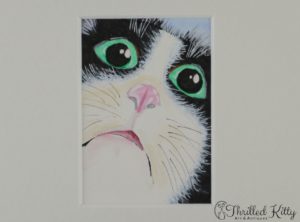 ‘Cat Face’ by Julia Pamely | ACEO