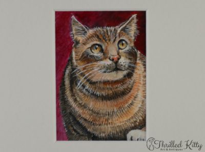 ‘Cat on the Prowl’ by David Laurence | ACEO